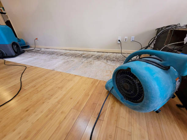 Professional Emergency Water Damage technician working in Saltillo, TN